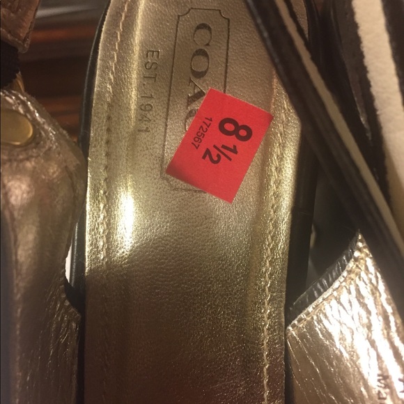 Shoes - Picture 10 of 14